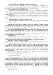 Valstybės formos 9 puslapis