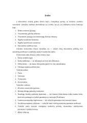 Valstybės ir vyriausybės vaidmuo ekonomikoje 2 puslapis