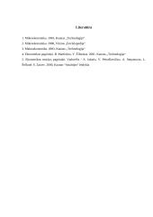 Valstybės ir vyriausybės vaidmuo ekonomikoje 11 puslapis