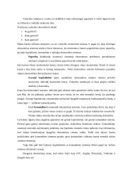 Valstybės ir vyriausybės vaidmuo ekonomikoje 3 puslapis