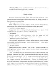 Valstybės ir vyriausybės vaidmuo ekonomikoje 4 puslapis