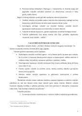 Valstybės samprata 5 puslapis