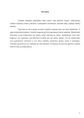 Valstybės samprata 9 puslapis