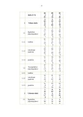 Valstybės skola 13 puslapis