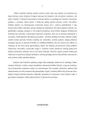 Valstybės skola 9 puslapis