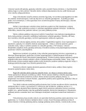 Valstybės skola ir jos stebėjimas 2 puslapis