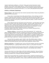 Valstybės skola ir jos stebėjimas 3 puslapis