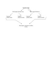 Valstybės skola ir jos stebėjimas 5 puslapis