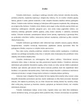 Valstybės skolų samprata 2 puslapis