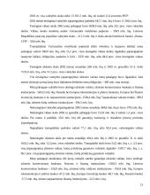 Valstybės skolų samprata 20 puslapis