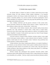 Valstybės skolų samprata 4 puslapis