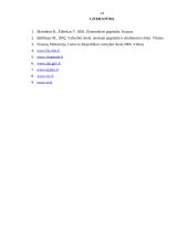 Valstybės skolos struktūra, tendencijos ir problemos 14 puslapis