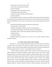 Valstybės skolos struktūra, tendencijos ir problemos 4 puslapis