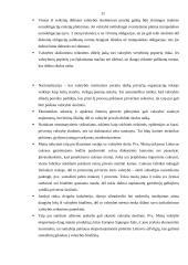 Valstybės skolos priežastys bei pasekmės 11 puslapis