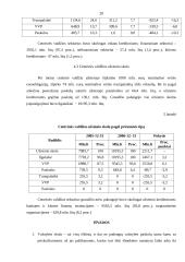 Valstybės skolos priežastys bei pasekmės 20 puslapis
