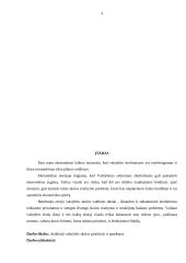 Valstybės skolos priežastys bei pasekmės 3 puslapis