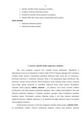 Valstybės skolos priežastys bei pasekmės 4 puslapis