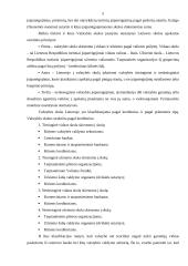 Valstybės skolos priežastys bei pasekmės 5 puslapis