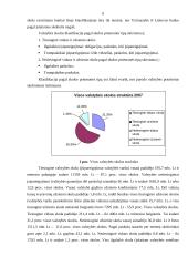 Valstybės skolos priežastys bei pasekmės 6 puslapis