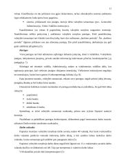 Valstybės tarnyba Austrijoje 11 puslapis