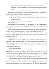 Valstybės tarnyba Austrijoje 12 puslapis