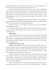 Valstybės tarnyba Austrijoje 13 puslapis