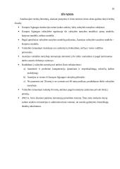 Valstybės tarnyba Austrijoje 16 puslapis