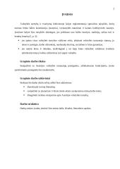 Valstybės tarnyba Austrijoje 3 puslapis