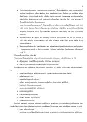 Valstybės tarnyba Austrijoje 9 puslapis