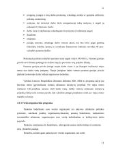 Valstybės užimtumo politika 11 puslapis