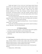 Valstybės užimtumo politika 13 puslapis