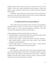 Valstybės užimtumo politika 17 puslapis