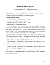 Valstybės valdymas. Vietos savivalda 11 puslapis