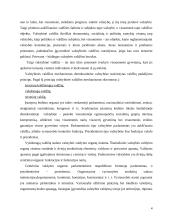 Valstybės valdymas. Vietos savivalda 4 puslapis