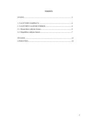 Valstybės samprata bei valdymo formos 2 puslapis