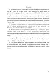 Valstybės samprata bei valdymo formos 13 puslapis