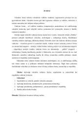 Valstybės samprata bei valdymo formos 3 puslapis