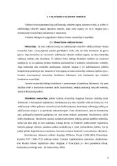 Valstybės samprata bei valdymo formos 6 puslapis