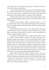 Valstybės samprata bei valdymo formos 10 puslapis