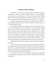 Valstybinės ligonių kasos veikla 12 puslapis