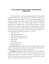 Valstybinės ligonių kasos veikla 5 puslapis