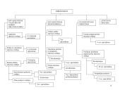 Valstybinės ligonių kasos veikla 8 puslapis