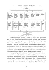 Valstybinio socialinio draudimo biudžeto susidarymas ir vykdymas 6 puslapis