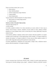 Valstybinis pensijų draudimas Lietuvoje 11 puslapis