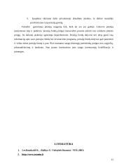 Valstybinis pensijų draudimas Lietuvoje 13 puslapis