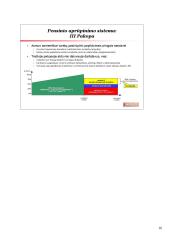 Valstybinis pensijų draudimas Lietuvoje 16 puslapis