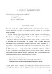 Valstybinis pensijų draudimas Lietuvoje 4 puslapis