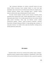 Valstybių galia ir įtakos galimybės 13 puslapis