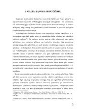 Valstybių galia ir įtakos galimybės 5 puslapis