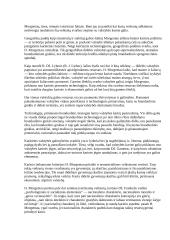 Valstybių galia ir mažosios valstybės 2 puslapis